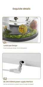 Aroma Humidifier Raindrop Air Humidifier Colorful Light White Noise Essemtial Oil Diffuser Home Ultrasonic Fragrance Diffuser - NeuroLense™